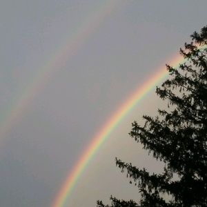 Meet your Posher, Kerry